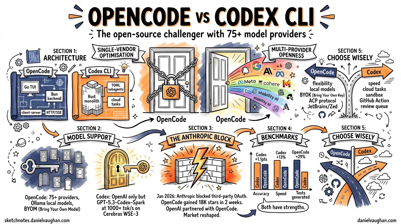 Sketchnote diagram for: OpenCode vs Codex CLI: The Open-Source Challenger With 75+ Model Providers